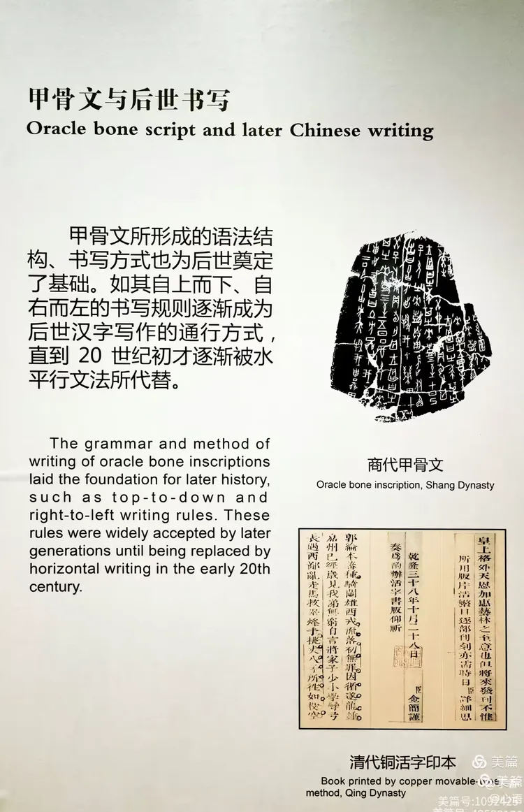 一片甲骨惊天下